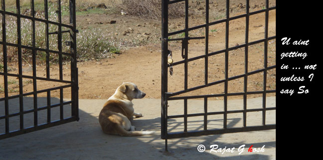  guarding 