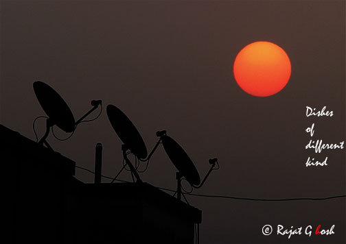  dish karo