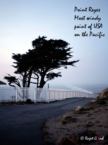  Pt Reyes 