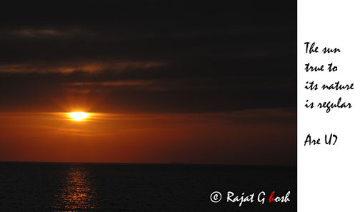  sun